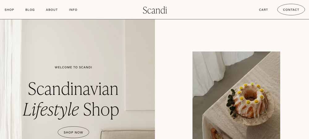Squarespace template fasion #7